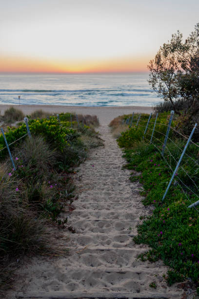 maroubra  beach, (bedegal) sydney, nsw, australia - maroubra beach foto e immagini stock