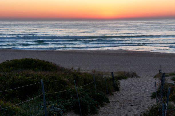 maroubra  beach, (bedegal) sydney, nsw, australia - maroubra beach foto e immagini stock