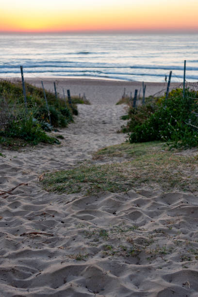 maroubra  beach, (bedegal) sydney, nsw, australia - maroubra beach stock-fotos und bilder