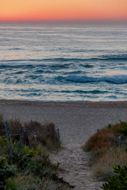 maroubra  beach, (bedegal) sydney, nsw, australia - maroubra beach foto e immagini stock