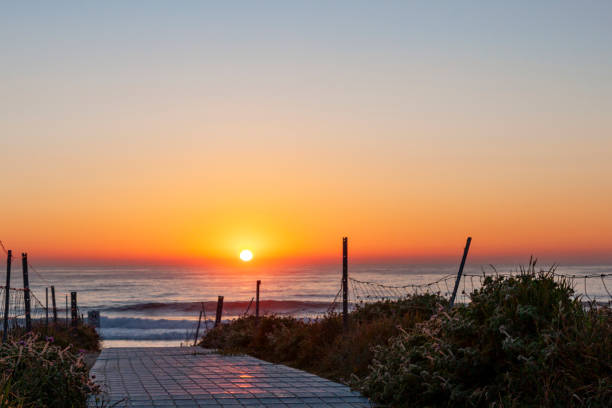 maroubra  beach, (bedegal) sydney, nsw, australia - maroubra beach foto e immagini stock