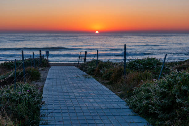 maroubra  beach, (bedegal) sydney, nsw, australia - maroubra beach foto e immagini stock