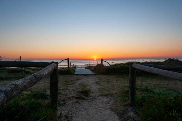 maroubra  beach, (bedegal) sydney, nsw, australia - maroubra beach zdjęcia i obrazy z banku zdjęć