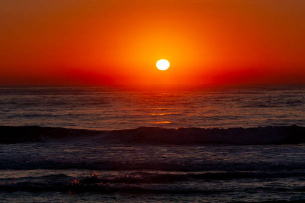 maroubra  beach, (bedegal) sydney, nsw, australia - maroubra beach zdjęcia i obrazy z banku zdjęć