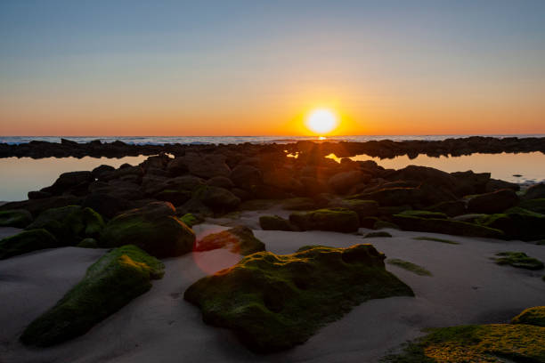 maroubra  beach, (bedegal) sydney, nsw, australia - maroubra beach stock-fotos und bilder