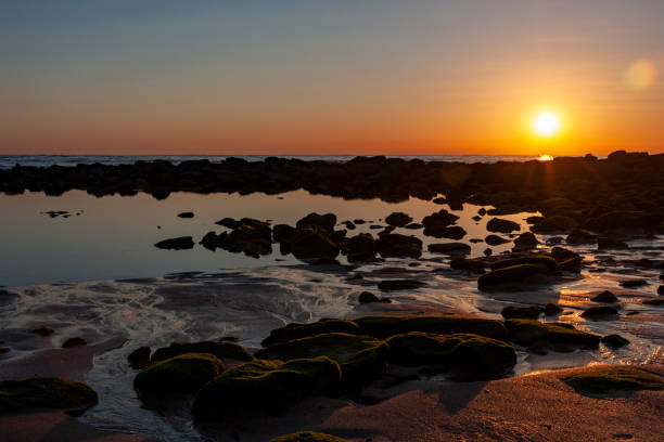 maroubra  beach, (bedegal) sydney, nsw, australia - maroubra beach stock-fotos und bilder