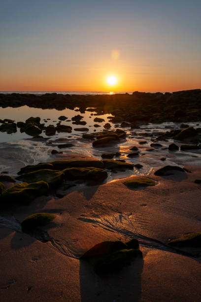 maroubra  beach, (bedegal) sydney, nsw, australia - maroubra beach stock-fotos und bilder