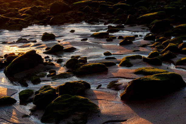 maroubra  beach, (bedegal) sydney, nsw, australia - maroubra beach stock-fotos und bilder