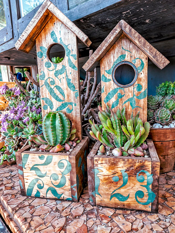 Cactus and succulents in wooden pot, Wooden birdhouses in the garden. Decorative bird houses.