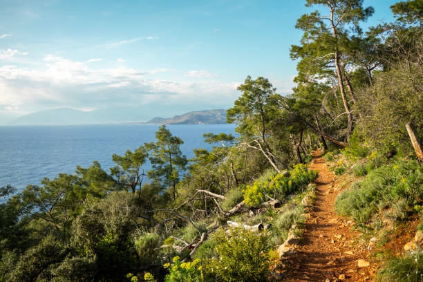 background with forest and nature view on the cliffs. .  nature hiking trail trail walking path
