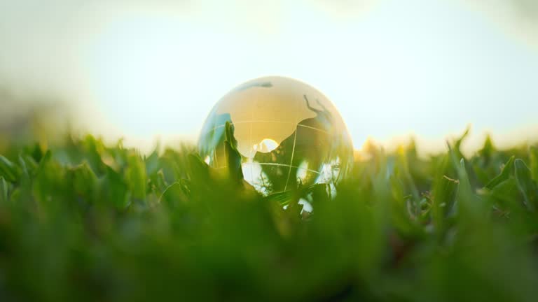 B roll - Glass crystal globe on the green grass nature in sunset, concept for environment and conservation