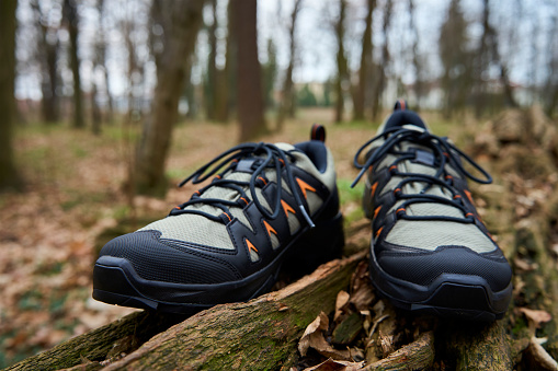 Hiking Boots in Nature. Sturdy trekking shoes against a backdrop of forest terrain. Concept of exploration and outdoor activities