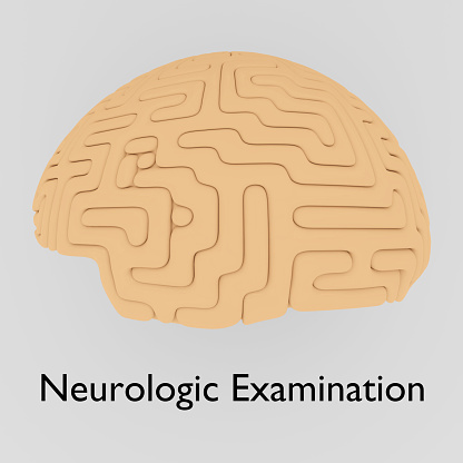 3D illustration of a human brain, titled as Neurologic Examination.