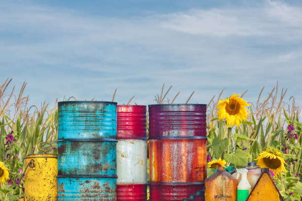 Storage containers and barrels with pesticides in front of an agricultural field with blooming sunflowers
