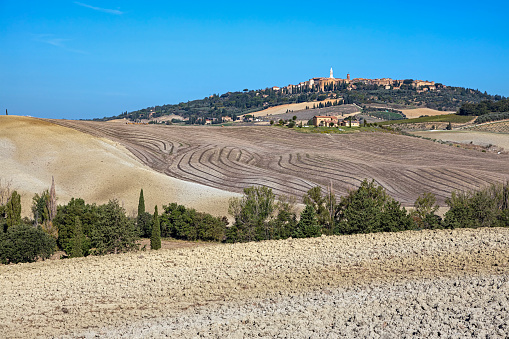 Hilly landscape in Orcia Valley, Tuscany