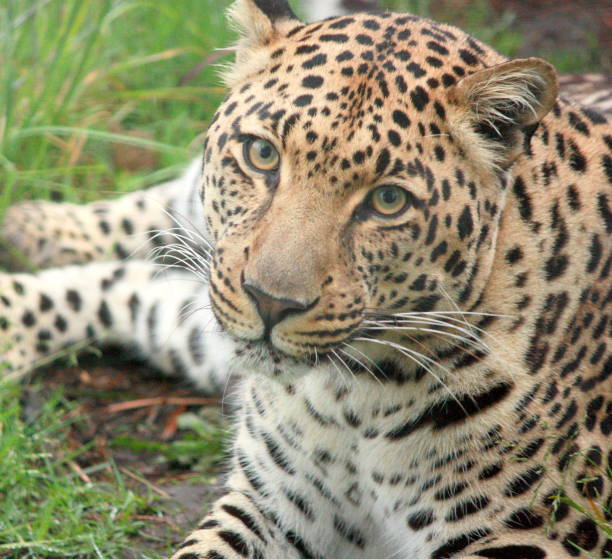 Taken in the Okavango Delta, Botswana