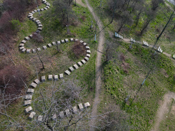 playground obstacle course. jump over snake-shaped concrete arches. with shape in concrete gutters laid upside down in a row in a meadow. military training ground on the hill spline