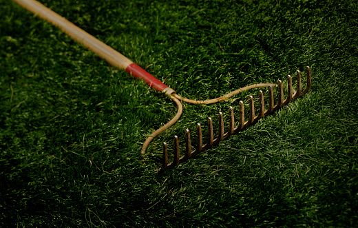 A rake dangerously lying in the grass