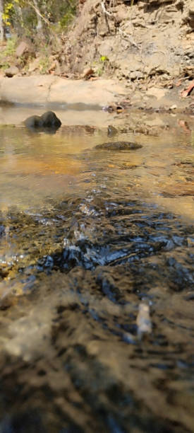 istock The clean water flow view in the river 2094170439