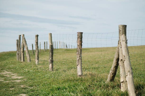 istock Fence made of wood and wire 2094175824