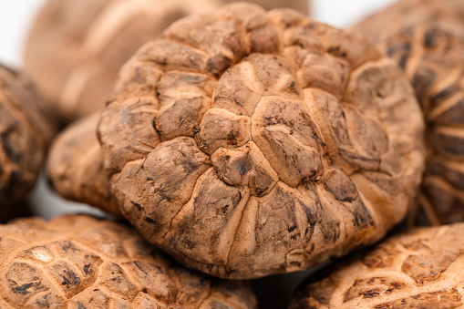 dried mushrooms on white background macrophotography