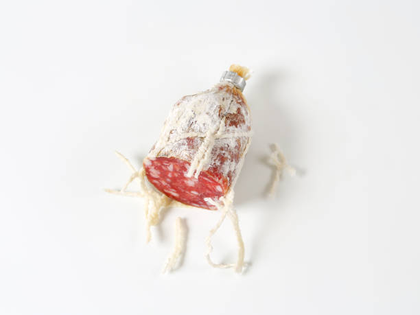 Piece of  dry cured French sausage