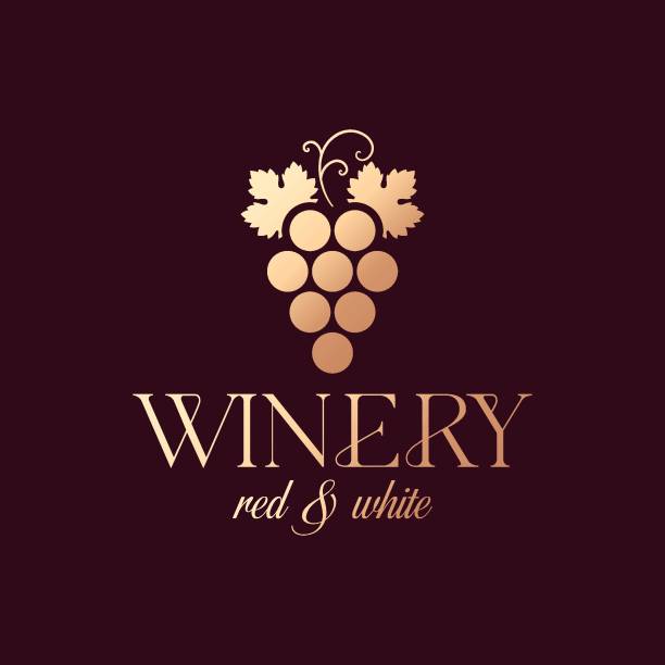 Wine Grape Red And White Luxury Wine Winery vector art illustration