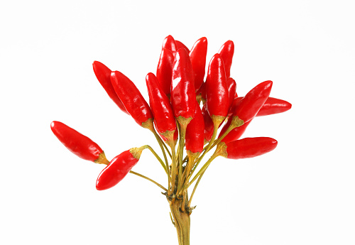 Bunch of small red chili peppers on white background