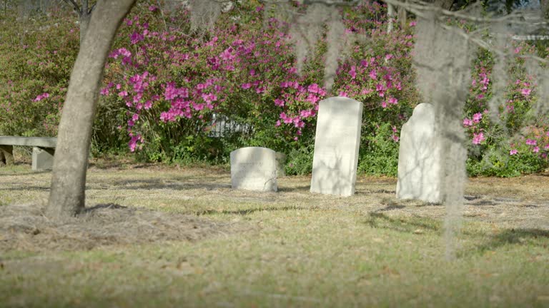 Old Southern US Cemetery