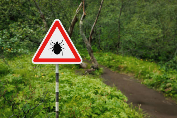 istock Tick Infected area with danger sign 2094243995