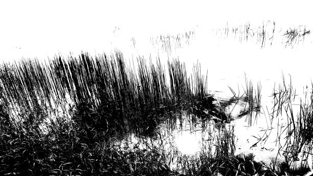 minimalist photography