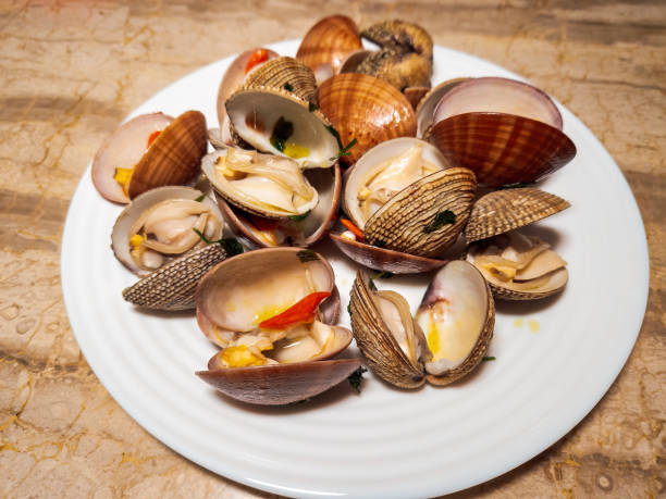 istock Fresh cooked opened venus clams with shells, served on a white dish top close-up view. 2094252447