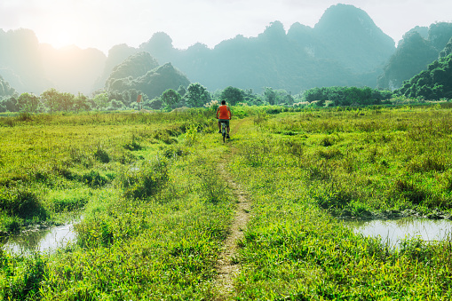 Early morning in Halong Bay, with a solitary figure wandering through vibrant green fields surrounded by the limestone karsts.