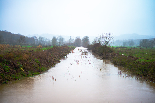 Immerse yourself in the tranquil beauty of a river winding through rain-kissed bushes. Raindrops dance on foliage, creating a serene and refreshing scene in the heart of nature