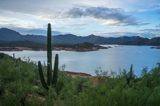 Bartlett Lake after spring rains in Tonto National Forest