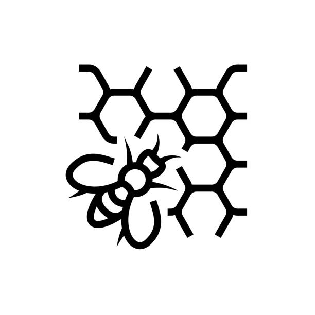 bee farming and apiculture line icon - beehive bee colony wax点のイラスト素材／クリップアート素材／マンガ素材／アイコン素材