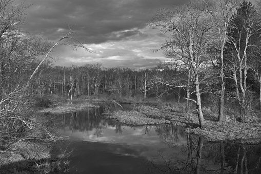 Butternut Brook in Litchfield, Connecticut, in black and white, late winter/early spring. A tributary of the Bantam River.