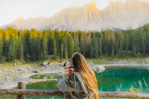 Rear view of happy female traveler with long hair holding her cute pug at viewpoint of lake Carezza with idyllic background view of shiny pine forest and beautiful mountain range