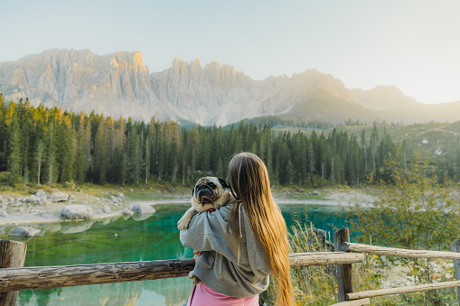 Rear view of happy female traveler with long hair holding her cute pug at viewpoint of lake Carezza with idyllic background view of shiny pine forest and beautiful mountain range