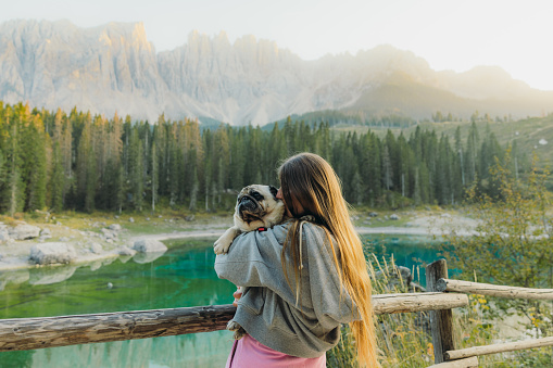Happy female traveler with long hair holding her cute pug at viewpoint of lake Carezza with idyllic background view of shiny pine forest and beautiful mountain range