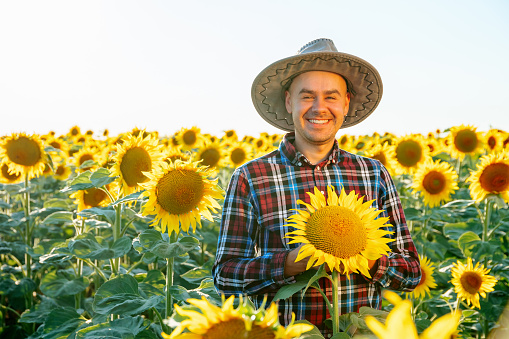 glad young farmer man stands in sunflowers and smiling. In front of him is a large yellow flower. On the head is a sun hat. male Agronomist stays and looking at camera. copy space