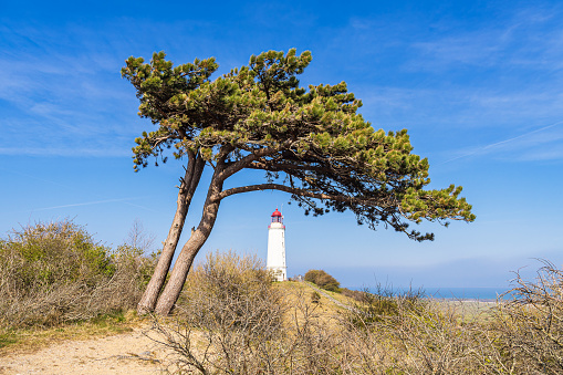 The lighthouse Dornbusch on the island Hiddensee