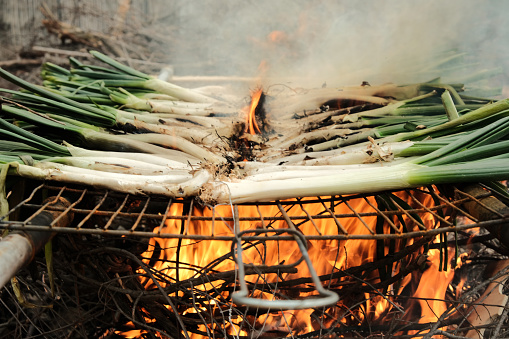 barbecue calçots. Join calçots. Calçotada. Cooking calçots.  Barbacoa. calçots or onions cooking in direct heat. On a grill