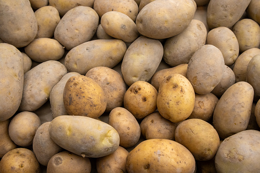 isolated potatoes over white background