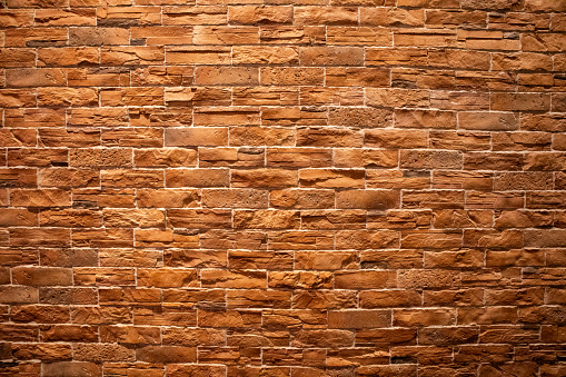 The background is a beautifully arranged orange-brown brick wall. Texture.