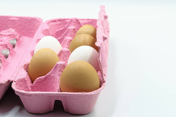 A carton of fresh white and brown eggs. Space for text.