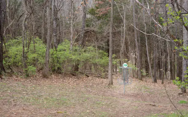 Disc-golf basket surrounded by trees with number 13 marker.