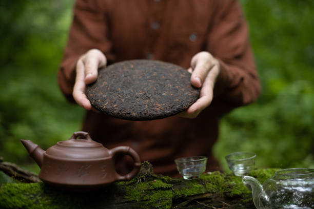 Man holding round disk of pressed shu puer tea in summer forest