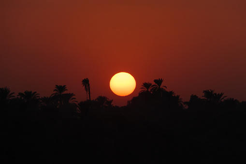 Sunset landscape on the Nile valley,  Egypt, the sun is on trees