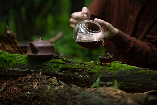 Man pouring shu pu-erh tea from cha hai in bowls near clay teapot on log in forest